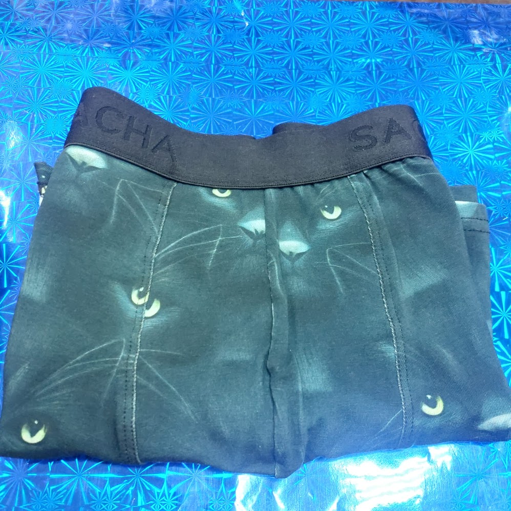 Boxer SACHA Pantera (L)