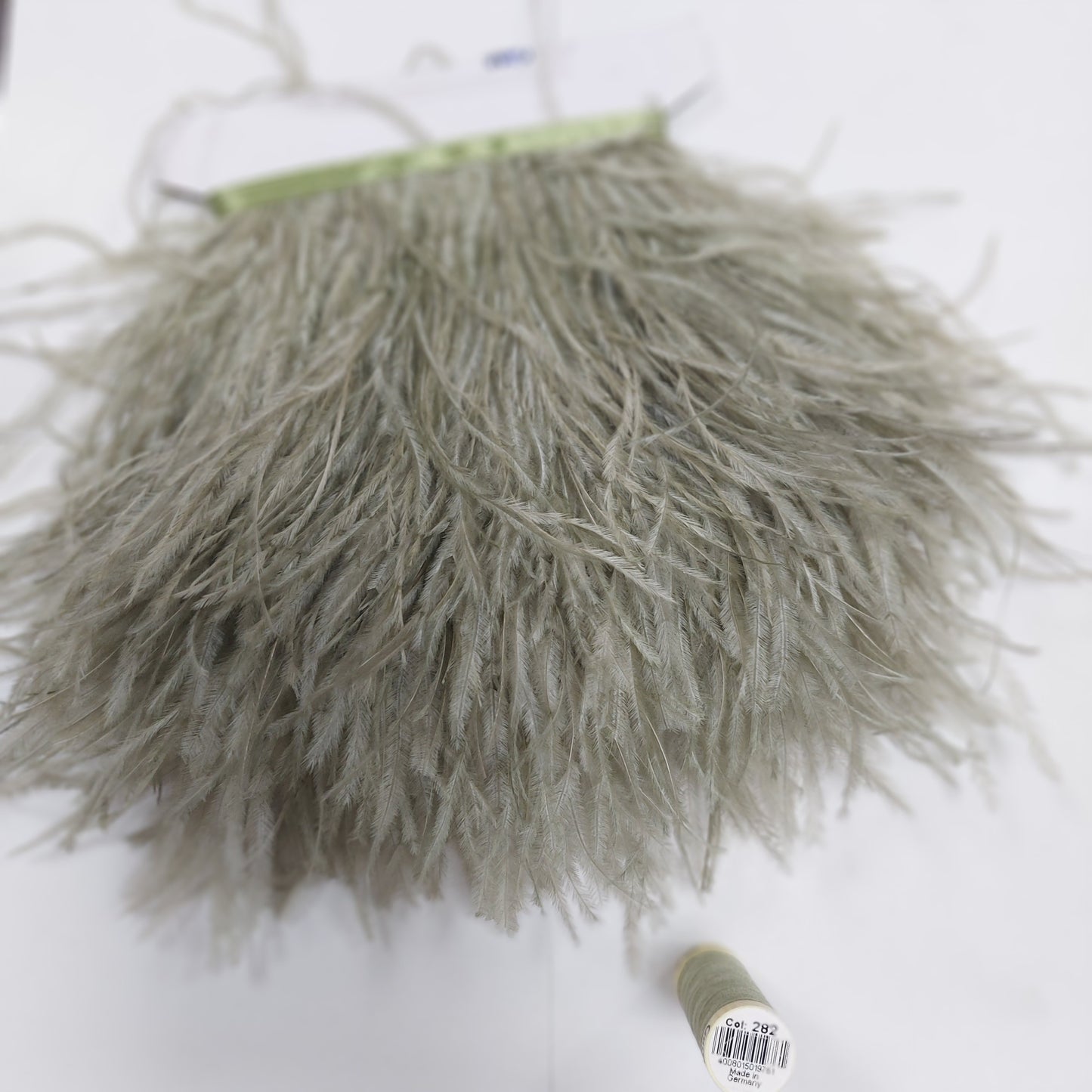 PLUMA DE AVESTRUZ CAQUI