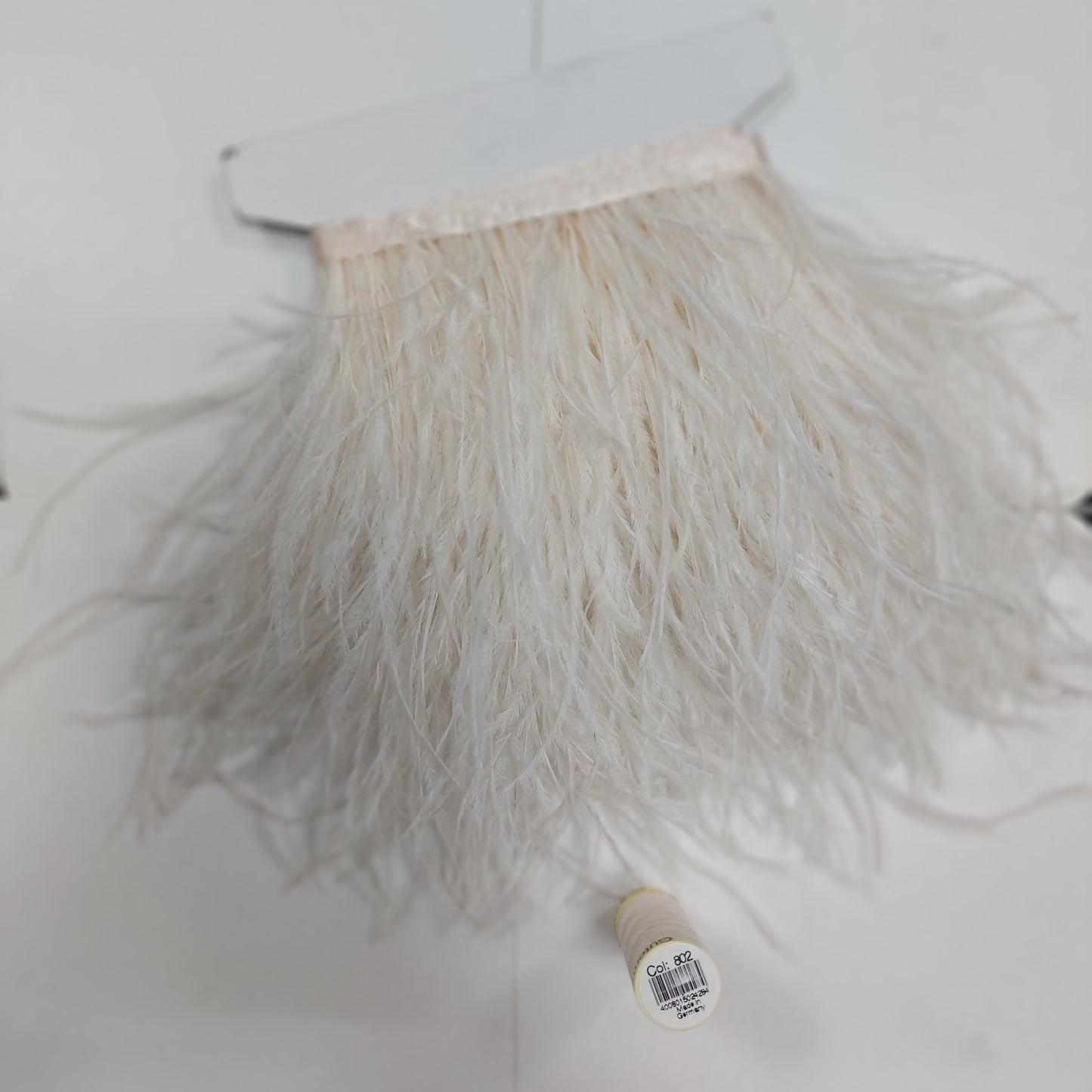 PLUMA AVESTRUZ CRUDO