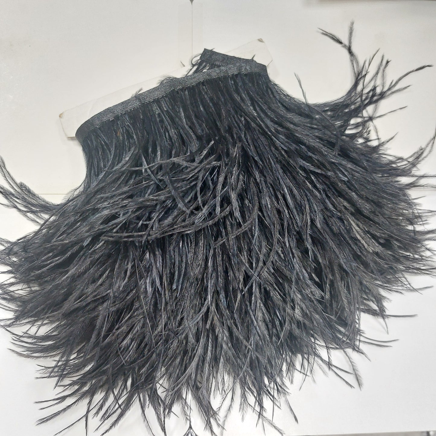 PLUMA DE AVESTRUZ NEGRA