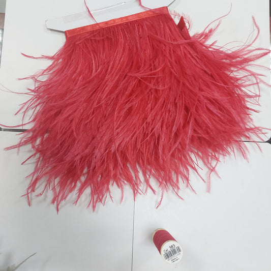 PLUMA DE AVESTRUZ FRESA